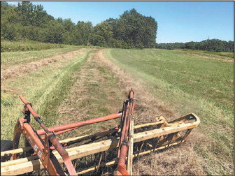 Back Home  Surprise! Tractors Teach Life   Lessons