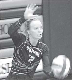 Boehmer is Trailways P.O.Y.,  Horicon Teams Have 15 Student/  Athletes on All-Conference Lists