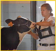 Fond du Lac County Fair and Fun